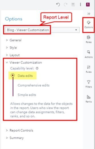 Viewers can still be granted report change capabilities while they are in view mode.