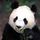 JasonXin